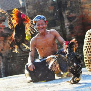 Situs SV388 Pakai Taji Agen Bernitdown